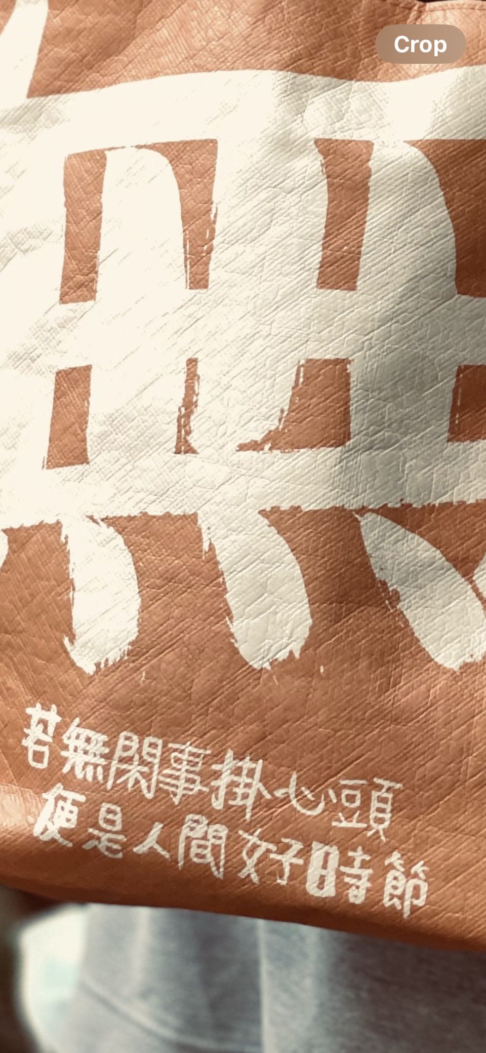 【新货到】双面 - 无忧~自在 手提包 care free bag