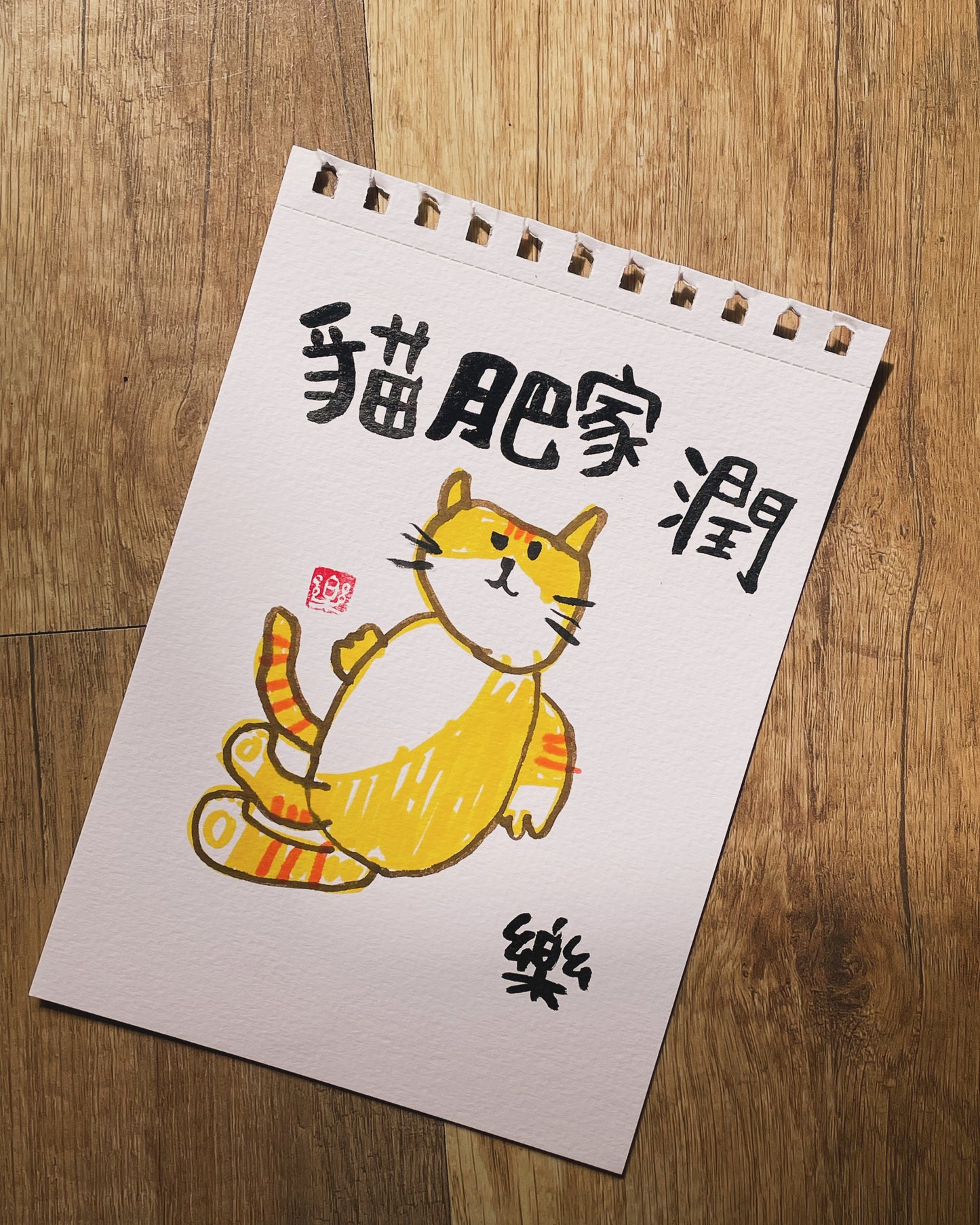 猫肥家润 - A5